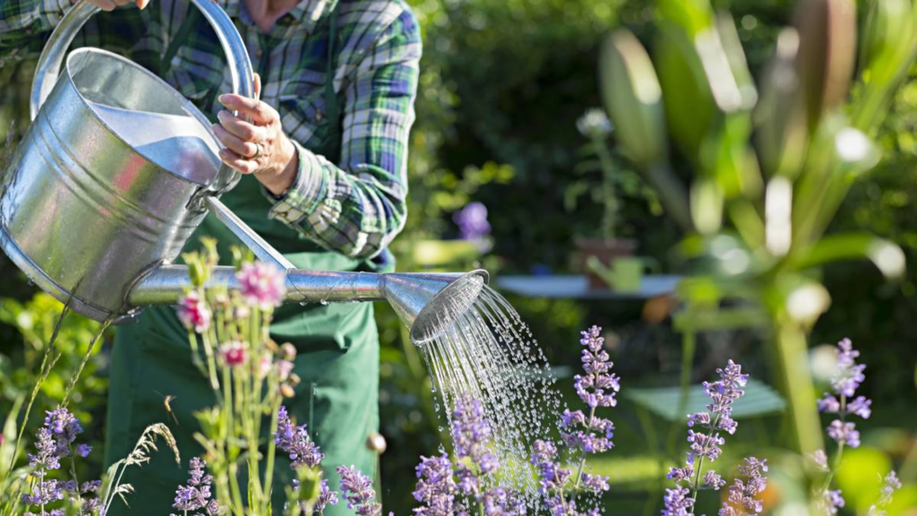 The Cost of Home Garden Services: What to Expect and How to Budget