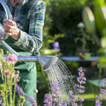 The Cost of Home Garden Services: What to Expect and How to Budget