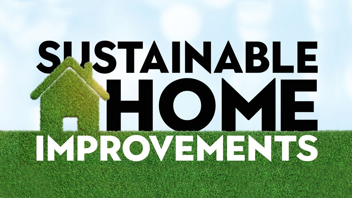 Sustainable Home Improvement: Eco-Friendly Tips