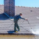 roof cleaning near me