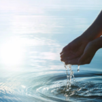 local trusted water company